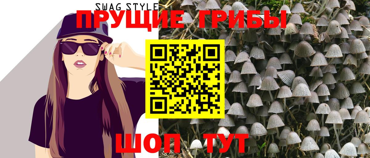 Галлюциногенные грибы Cubensis  Псилоцибиновые грибы Cubensis  Урюпинск  Вход с VPN 